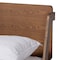 Baxton Studio Sadler Mid-Century Modern Ash Walnut Brown Finished Wood Full Size Platform Bed 174-10911-Zoro - alternate 10